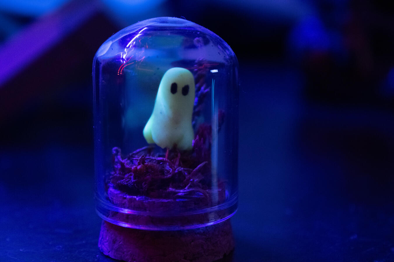 Ghost in a Jar Ghost in a Jar